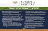 BUREAU CANNABIS  · PDF fileBUREAU OF CANNABIS CONTROL LICENSING INFORMATION WHAT YOU NEED TO KNOW LICENSE TYPES Retailer: Sells cannabis goods to