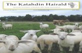 The Katahdin Hairald · PDF fileJeff Emmerling of J & M Sheep ... members in the Katahdin Hairald and at the KHSI website. ... AGE. 3. William P. Shulaw, DVM Ohio State