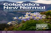 Colorado’s New Normal - Colorado Health Institute · PDF fileThe Colorado Trust. Please contact Jeff Bontrager at bontragerj@ ... The Colorado Health Access Survey — the CHAS ...