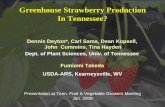 Greenhouse Strawberry Production In Tennessee?utprotectedagsolutions.tennessee.edu/pdfs/strawberryTalk2009.pdf · Greenhouse Strawberry Production In Tennessee? Dennis Deyton*, ...