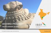 ANDHRA PRADESH - IBEF · PDF fileAndhra Pradesh accounts for a major share in the overall exports of seafood ... Various pharmaceutical companies have set ... Andhra Pradesh is