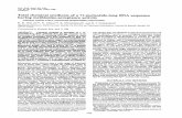 ofa 77-nucleotide-long RNA methionine-acceptance. Natl. Acad. Sci. USA Vol. 85, pp. 5764-5768, August 1988 Chemistry Total chemical synthesis ofa 77-nucleotide-long RNAsequence havingmethionine-acceptance
