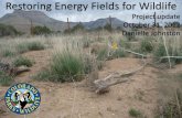 Restoring Energy Fields for Wildlife - cpw.state.co.us · PDF fileRestoring Energy Fields for Wildlife Project update . October 31, ... Horsethief Demonstration Project . ... Streambank