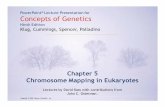 PowerPoint Lecture Presentation for Concepts of …libvolume6.xyz/molecularbiology/bsc/semester2/principles...Title Microsoft PowerPoint - chromosomemappingpresentation2 [Compatibility