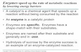 Enzymes speed rate by lowering energy barriersmrsmonarchatwest.weebly.com/.../enzyme_powerpoint.pdf · Exergonic Reaction Progress of the reaction Products Reactants ∆G < O Transition
