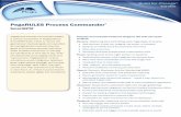 PegaRULES Process Commander - iBridge Group for Change® Data Sheet PegaRULES Process Commander® SmartBPM® Process Commander Features Support the Full Life Cycle of Work Receive: