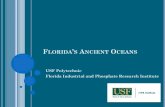FLORIDA S ANCIENT OCEANS - UF/IFAS OCI | Homeconference.ifas.ufl.edu/aitc/presentations/Session 2/Florida's... · ancient seas, Florida Phosphate ... Why is it shaped so long and