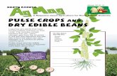 Pulse Crops Dry Edible Beans - North Dakota State University · PDF file · 2014-07-21Pulse crops and dry edible beans are two kinds of ... Haiti Japan Iraq Guatemala Dominican Republic