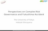 Perspectives on Complex Risk Governance and …pari.u-tokyo.ac.jp/archives/events/smp130213_shiroyama.pdf · conflict resolution ... •New simulation methods combined with sedimentological