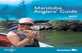 Manitoba Anglers' Guide · PDF fileManitoba Anglers' Guide   2011. Front Cover ... 5 Limits ... and sex of licensee