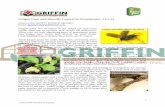 Fungus Gnat Control in Greenhouses 11.5 - ggspro.comggspro.com/new/pdfs/updated/Fungus Gnat Control in Greenhouses 11.5...Gnatrol WDG - (EPA Reg. # 73049-56) Active Ingredient: Bacillus