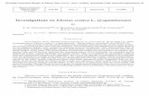 Investigations on Ebenus cretica (Leguminosae) · PDF fileInvestigations on Ebenus cretica L. (Leguminosae). ... by Bentham-Hooker in Genera ... is found in the hypocotyl-cotyledon