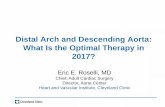 Distal Arch and Descending Aorta: What Is the Optimal ... · PDF fileDistal Arch and Descending Aorta: What Is the Optimal Therapy in ... Presented at 2012 AATS Aortic Symposium Azuma
