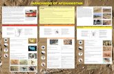 ARACHNIDS OF AFGHANISTAN · PDF fileARACHNIDS OF AFGHANISTAN UNITED STATES ARMY PUBLIC HEALTH COMMAND ... All scorpions are venomous but only three