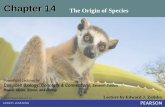 Chapter 14 The Origin of Species - mr- · PDF file© 2012 Pearson Education, Inc. Lecture by Edward J. Zalisko PowerPoint Lectures for ... Chapter 14 The Origin of Species Many species