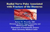 Radial Nerve Palsy Associated with Fracture of the … Nerve Palsy Associated with Fracture of the Humerus ... • Location: Proximal 2%, Middle 10%, Distal 20%