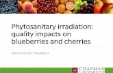 Phytosanitary irradiation: quality impacts on … irradiation: quality impacts on blueberries and cherries ANURADHA PRAKASH. Study objectives •Dose response studies to determine