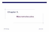 Chapter 5. Macromolecules - Explore Biologyexplorebiology.com/documents/05Ch05carbs2005a.pdf · AP Biology 2005-2006 Chapter 5. Macromolecules. ... macromolecules 4 major classes