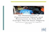 An Assessment of Psychosocial Needs and …nigeria.iom.int/sites/default/files/newsletter/Yola Assessment...An Assessment of Psychosocial Needs and Resources in Yola IDP ... Stephanie
