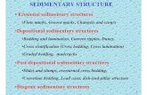 SEDIMENTARY STRUCTURE - Chiang Mai Universityit.geol.science.cmu.ac.th/gs/courseware/205355/sed...SEDIMENTARY STRUCTURE • Erosional sedimentary structures •Flute marks, Groove