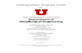 Undergraduate Program Guide - · PDF filemetallurgy, metallography, functionally graded mate rials, composites, magnetic materials, thin ... Principles and practice involved in qualitative