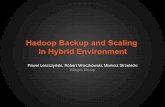 in Hybrid Environment Hadoop Backup and Scaling infrastructure in AWS and OpenStack Dynamic resources scaling Dynamic configuration Scalability and dynamicity on Bare Metal cluster