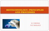 BIOTECHNOLOGY: PRINCIPLES AND PROCESSESbiokailashkvs.com/wp-content/uploads/2016/03/12... · BIOTECHNOLOGY: PRINCIPLES AND PROCESSES ... biotechnology: Genetic ... plant which transform