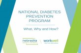 NATIONAL DIABETES PREVENTION PROGRAM · PDF fileFor more information, visit or call 1-800-DIABETES. Tuesda March dated from the merican Medical ssociation uide. Diagnosis and Treatment