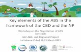 Key elements of the ABS in the framework of the CBD  · PDF fileKey elements of the ABS in the framework of the CBD and the NP ... Biotechnology, pharmaceutical, agroindustrial,