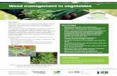 Weed management in vegetables - · PDF fileWeed management in vegetables Overview Weeds increase the cost of growing vegetables, reduce crop yield and quality, and impact farm management