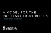 A MODEL FOR THE PUPILLARY LIGHT REFLEX Year Fall Biomed/BME344...A MODEL FOR THE PUPILLARY LIGHT REFLEX SIMEON WONG, CINDY BUI OUTLINE • Background • Light Reflex • Pathologies