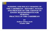 NURSING AND POLICY MAKING IN THE CARIBBEAN: HISTORY ...nursing.duke.edu/sites/default/files/centers/ogachi/ms_audrey... · nursing and policy making in the caribbean: history, stages