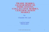 TRADE MARKS, GEOGRAPHICAL INDICATIONS,  · PDF file© 2002 Lall & Sethi Advocates 1 TRADE MARKS, GEOGRAPHICAL INDICATIONS, COLLECTIVE MARKS, CERTIFICATION MARKS