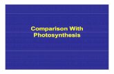 Comparison With Photosynthesis - Meps 316 - Comparis… · Reduction of carbon compounds Oxidation of ... • What is the one important difference between the PPP and glycolysis ...