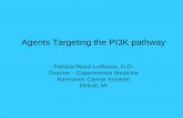 Agents Targeting the PI3K pathway - ESMO · PDF fileAgents Targeting the PI3K pathway Patricia Mucci LoRusso, D.O. Director –Experimental Medicine Karmanos Cancer Institute Detroit,