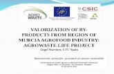 VALORIZATION OF BY- PRODUCTS FROM REGION OF … · PRODUCTS FROM REGION OF MURCIA AGROFOOD INDUSTRY: AGROWASTE LIFE PROJECT ... integrated management of agroindustrial fruit and ...