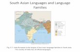 South Asian Languages and Language Families644892358441536678.weebly.com/uploads/1/0/4/2/10420289/chapter_5... · South Asian Languages and Language Families Fig. 5-7: ... • There