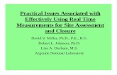 Practical Issues Associated with Effectively Using Real ... · Practical Issues Associated with Effectively Using Real Time Measurements for Site Assessment and Closure David S. Miller,
