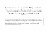 Minnesota’s Native Vegetationcmhale/EnEd3341-FieldInterpI... · Minnesota’s Native Vegetation: ... Department of Natural Resources Section of Wildlife 500 Lafayette Road, ...