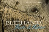 ELEPHANTS Facts & Fables - University of Pretoria · In Elephants: Facts & Fables, Professor Rudi van Aarde notes that similar issues plague the debate over elephant conservation.