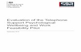Evaluation of the Telephone Support Psychological ... · 3 Evaluation of the Telephone Support Psychological Wellbeing and Work Feasibility Pilot Summary This study was commissioned