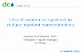 Use of anammox systems to reduce nutrient … of anammox systems to reduce nutrient concentrations Haydee De ... 爀屲So what exactly does the DEMON process do?對 \爀屲DEMON is