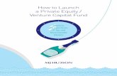 How to Launch a Private Equity / Venture Capital Fund · How to Launch a Private Equity / Venture Capital Fund Structure, Key Fund Terms, LP Tips and Recommended Advisers