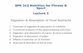Digestion & Absorption of Food Nutrients - SFU.ca - …mwhite1/BPK 312 Lecture 2 (Tutorial 3...1. Overview of digestion & absorption of nutrients 2. Functional anatomy of the gastrointestinal