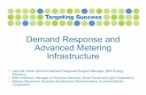 Demand Response and Advanced Metering Infrastructure · Demand Response and Advanced Metering Infrastructure Presented by: Lee Hall, Smart Grid and Demand Response Manager BPA Energy
