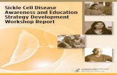 Sickle Cell Disease Awareness and Education Strategy ... · and education to the NHLBI Sickle Cell Disease Awareness and Education ... blood flow. The result is ... Cell Disease Awareness