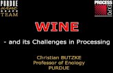 Christian BUTZKE Professor of Enology PURDUE · P. Ribereau-Gayon . Seed Removal . Cap Management . Aesthetics . Aesthetics vs Temperature Control . ... 1.Mixing/diffusion in tank