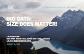 BIG DATA: SIZE DOES MATTER! - Informatikai Intézet€¦ · BIG DATA: SIZE DOES MATTER! LAJOS RODEK ... Artificial intelligence •Machine learning, ... •DWH, BI, data visualization