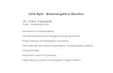Ch2/Ap2: Bioenergetics Section - California Institute of ...chem2/Bioenergetics 5-12-09.pdf · Ch2/Ap2: Bioenergetics Section Introduction to bioenergetics. The thermodynamics of