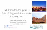 Multimodal Analgesia: Role of Regional Anesthesia Approaches 4-19-17... · Role of Regional Anesthesia Approaches ... •Allergy to local anesthetic ... Multimodal Analgesia: Role